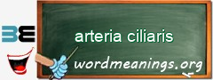 WordMeaning blackboard for arteria ciliaris